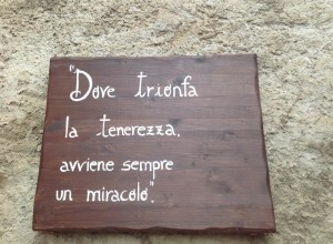 Slogan della casa della tenerezza a Perugia