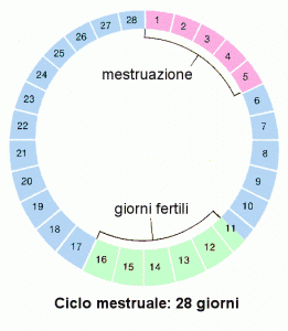 Giorni fertili e mestruazioni